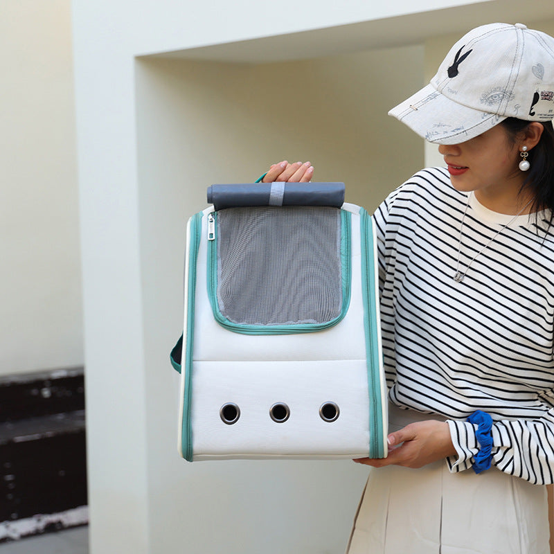 Classic Double Back Pet Cat Bag Foldable Breathable Multifunctional Fashion All-match