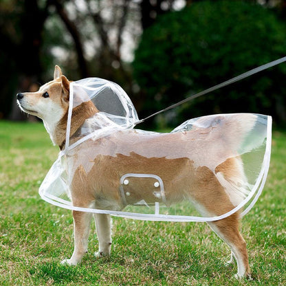Pet Raincoat Transparent Dog