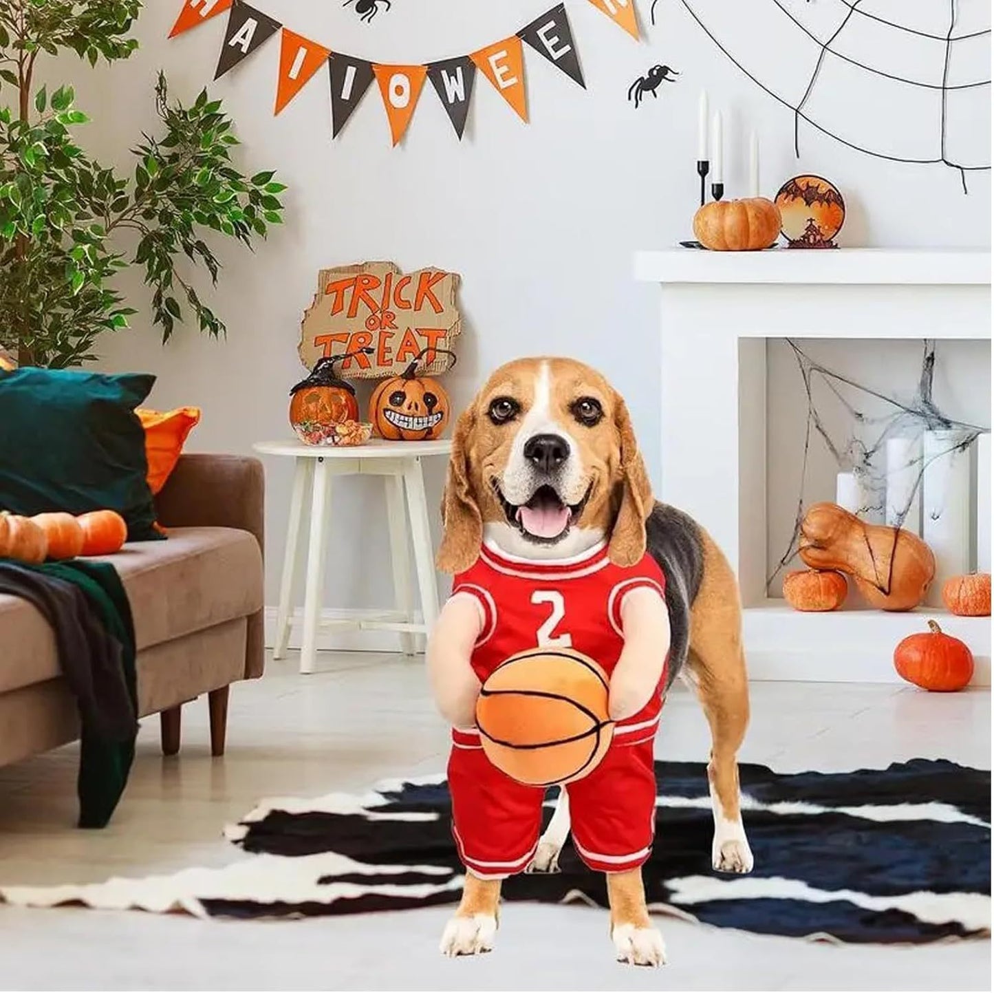 Disfraz de Jugador de Baloncesto para Perros - Halloween y Eventos