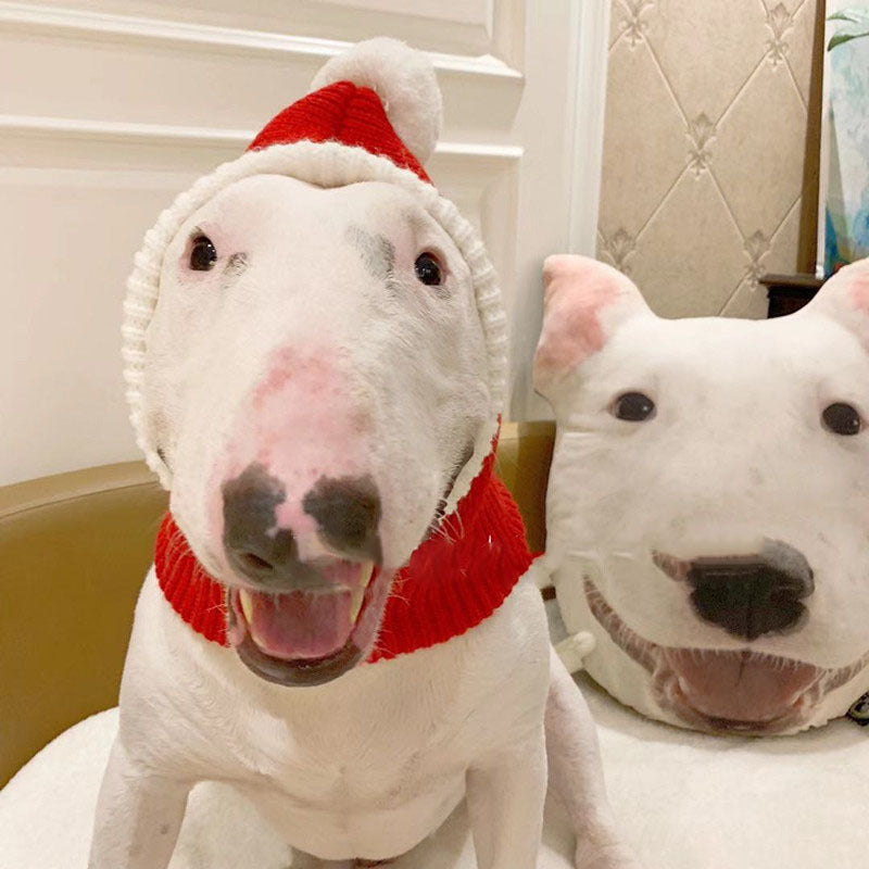 Fashion Simple Pet Autumn And Winter Woolen Hat