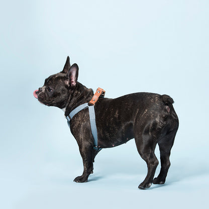 Pet Dog Soft Cotton Fashion Trendy Strap Hand Holding Rope Four Seasons Universal