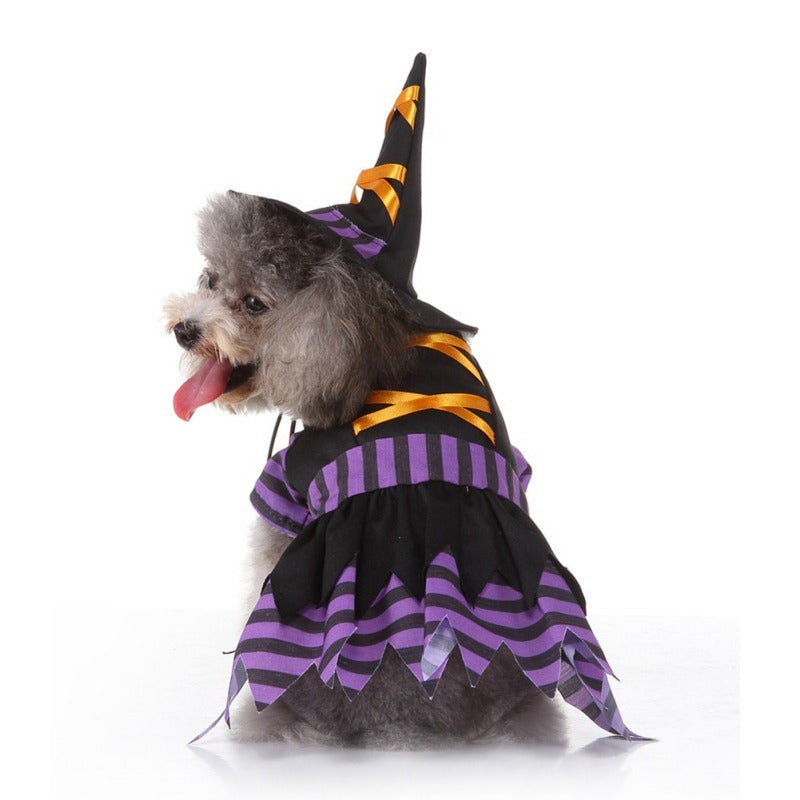 Disfraz de Brujita para Perros y Gatos — Halloween Edition