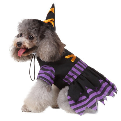 Disfraz de Brujita para Perros y Gatos — Halloween Edition